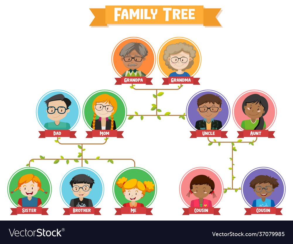 Diagram showing three generation family tree Vector Image Regarding 3 Generation Family Tree Template Word Intended For 3 Generation Family Tree Template Word